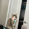 elenymb